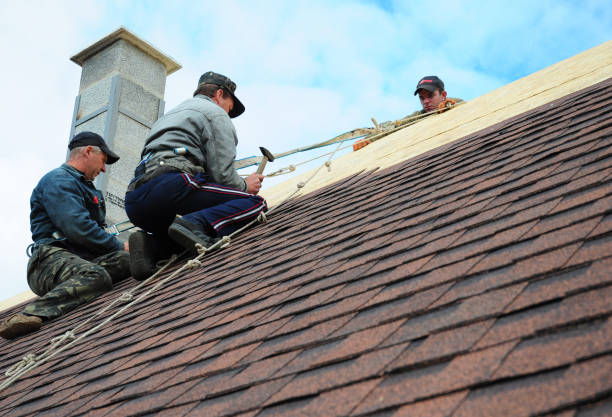 Quick and Trustworthy Emergency Roof Repair Services in River Ridge, LA